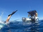 Denis Island experiences: Boat-Diving-Fins-small