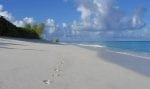 Bird Island surroundings: Footprints-on-the-beach