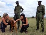 Loisaba sniffer dogs